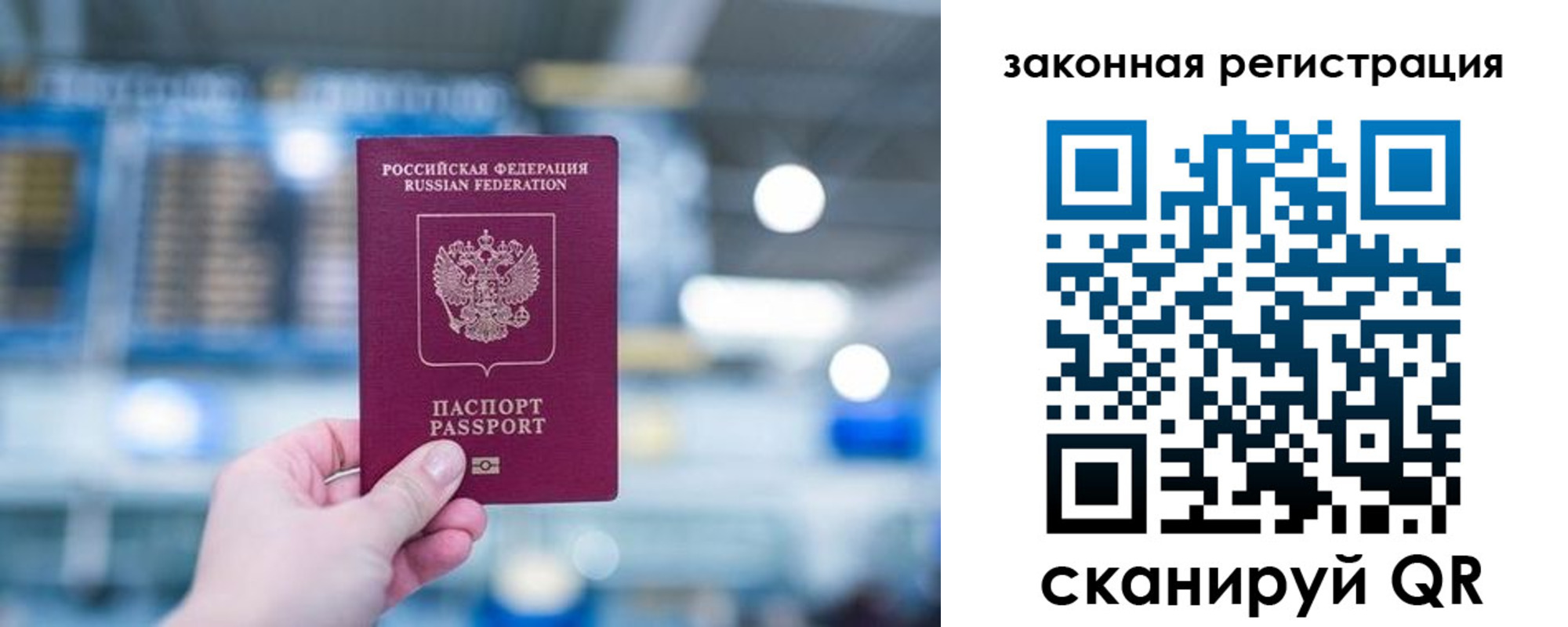 прописка поиск в Торопеце